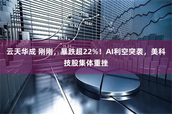 云天华成 刚刚，暴跌超22%！AI利空突袭，美科技股集体重挫