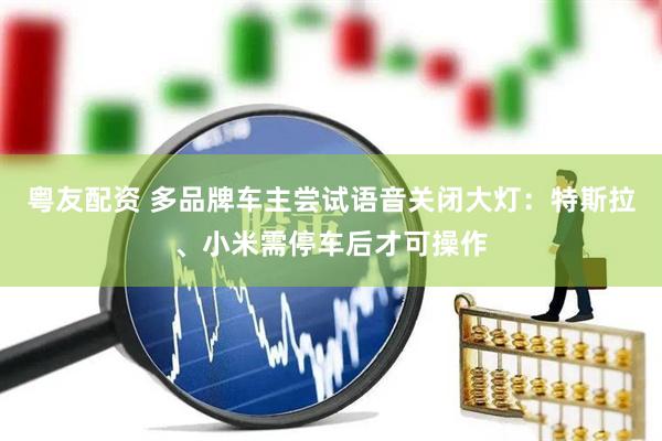 粤友配资 多品牌车主尝试语音关闭大灯：特斯拉、小米需停车后才可操作