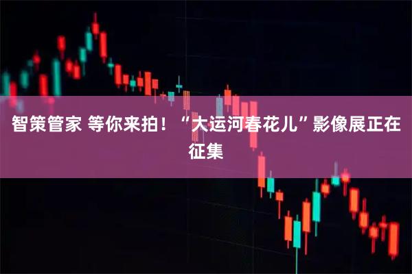 智策管家 等你来拍！“大运河春花儿”影像展正在征集