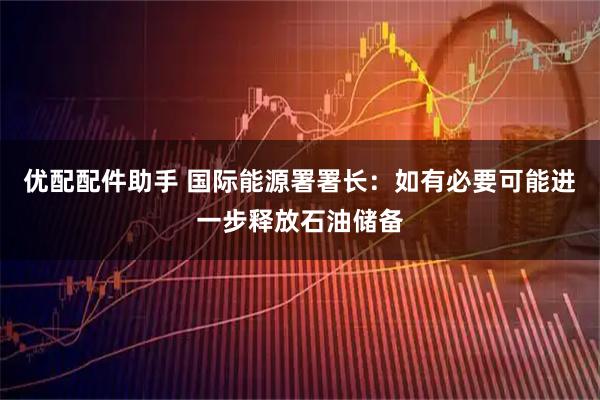 优配配件助手 国际能源署署长：如有必要可能进一步释放石油储备