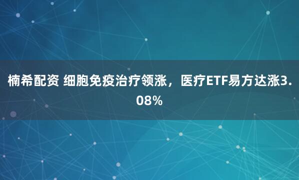 楠希配资 细胞免疫治疗领涨，医疗ETF易方达涨3.08%