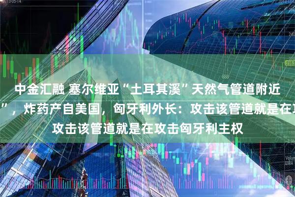 中金汇融 塞尔维亚“土耳其溪”天然气管道附近发现“强力炸药”，炸药产自美国，匈牙利外长：攻击该管道就是在攻击匈牙利主权