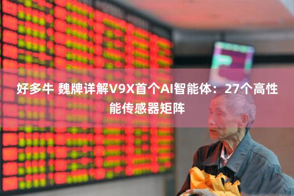 好多牛 魏牌详解V9X首个AI智能体：27个高性能传感器矩阵