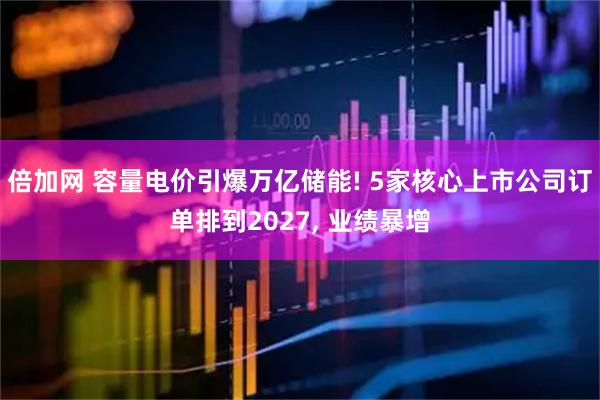 倍加网 容量电价引爆万亿储能! 5家核心上市公司订单排到2027, 业绩暴增