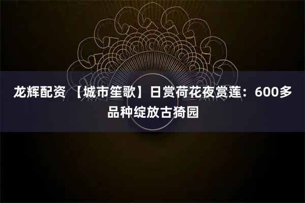 龙辉配资 【城市笙歌】日赏荷花夜赏莲：600多品种绽放古猗园
