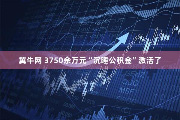 翼牛网 3750余万元“沉睡公积金”激活了