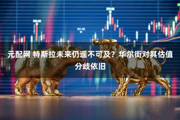 元配网 特斯拉未来仍遥不可及？华尔街对其估值分歧依旧