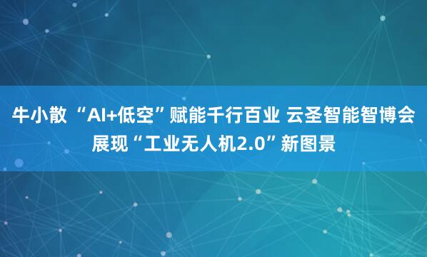 牛小散 “AI+低空”赋能千行百业 云圣智能智博会展现“工业无人机2.0”新图景