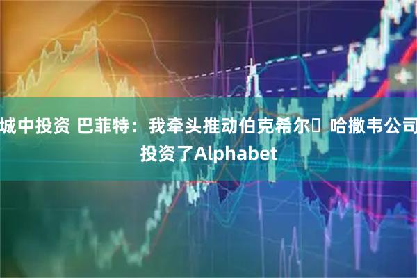 城中投资 巴菲特：我牵头推动伯克希尔・哈撒韦公司投资了Alphabet