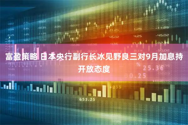 富盈策略 日本央行副行长冰见野良三对9月加息持开放态度